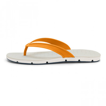 Шлепанцы мужские